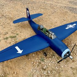 Skyshark Avenger RC plane