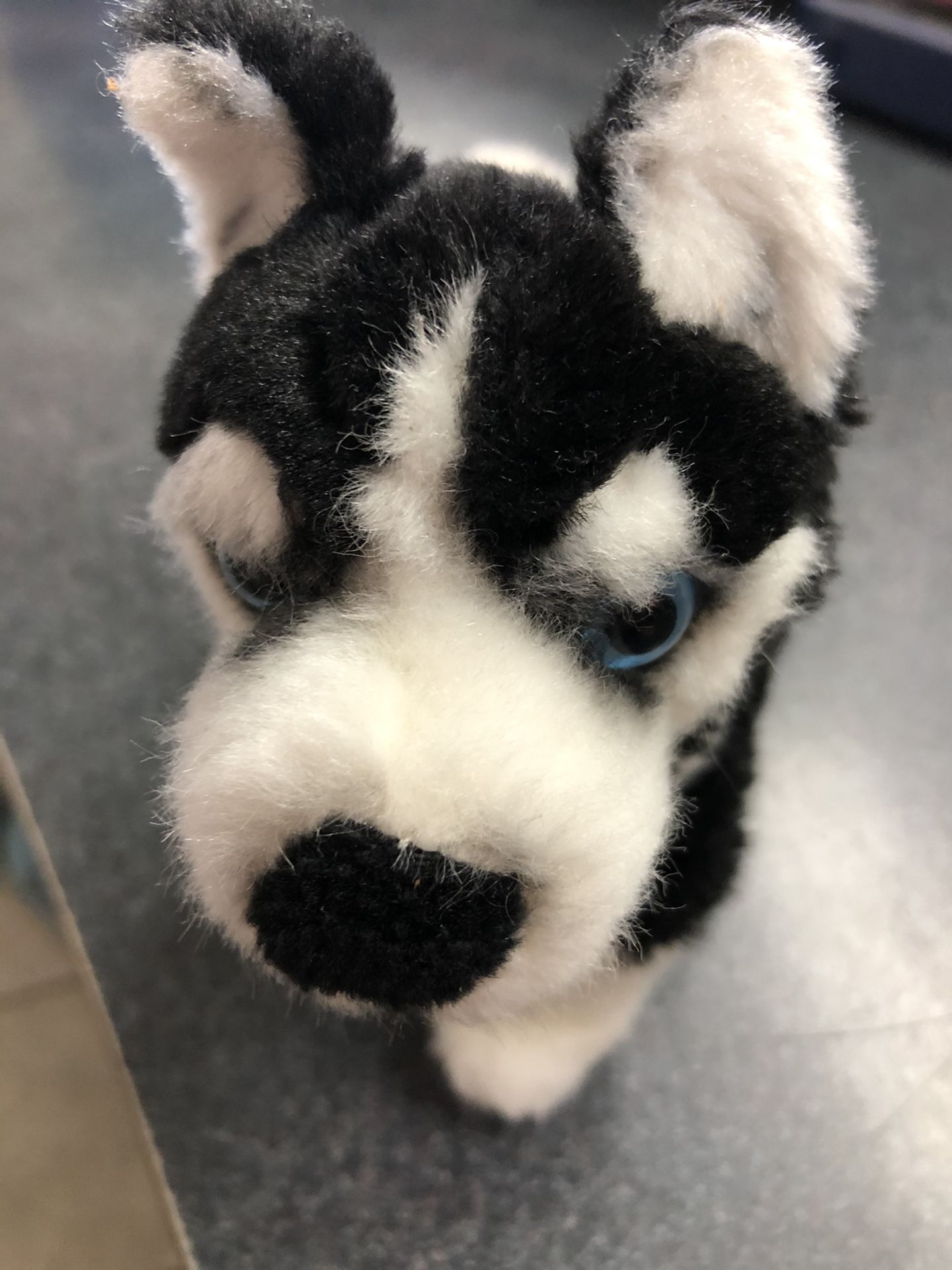 Disney Plush stuffed animal dog