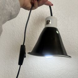 Medium Size Reptile Light 