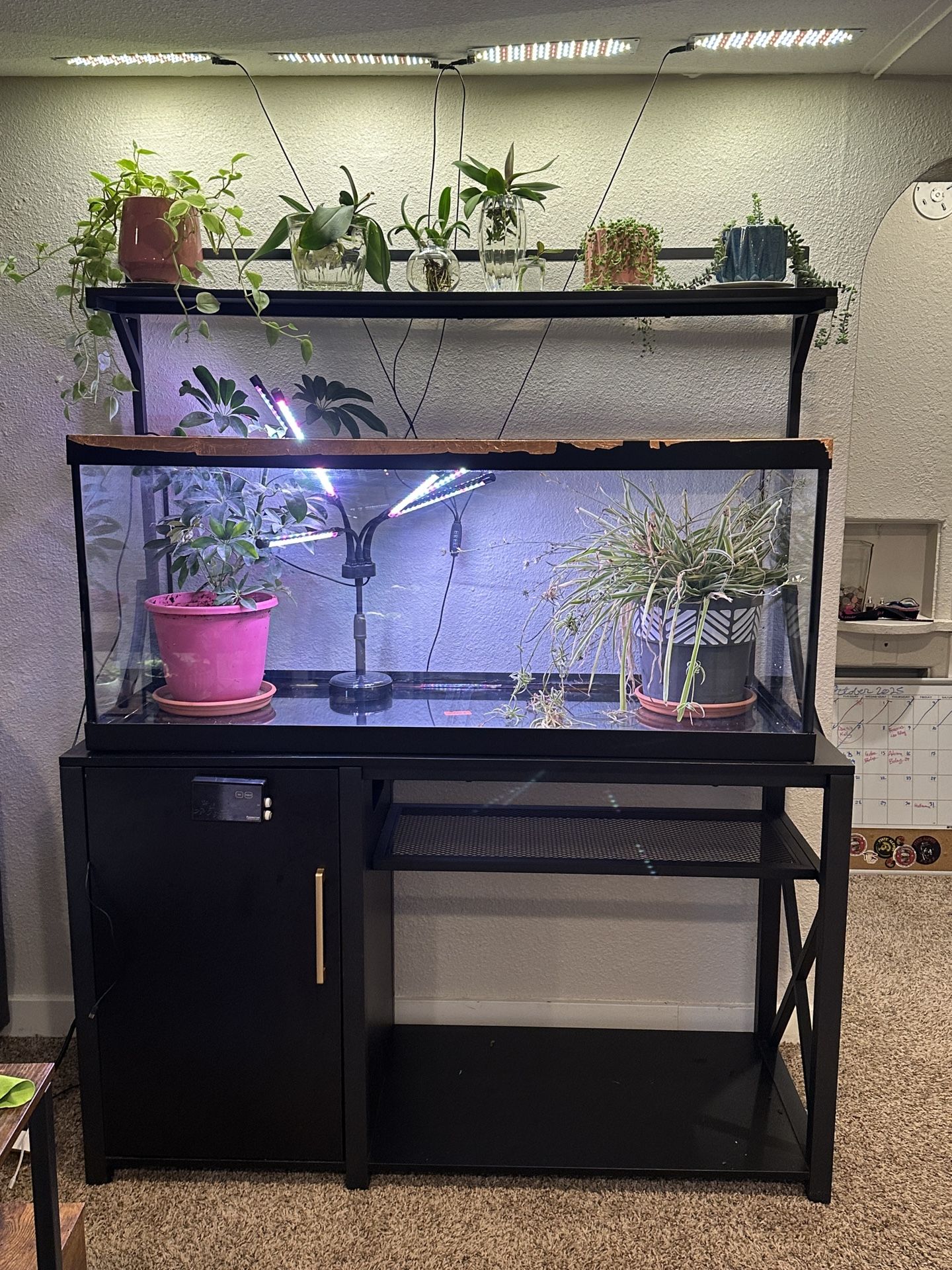 Aquarium stand Only