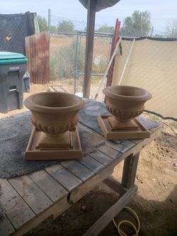 Champán planter