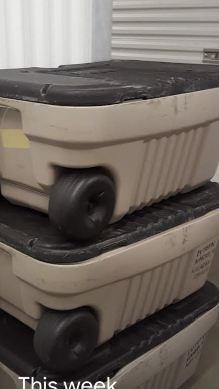 Two Rubbermaid Large heavy duty and tough rolling bins
