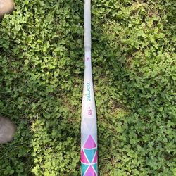 New 28 In.  Easton Softball Bat 