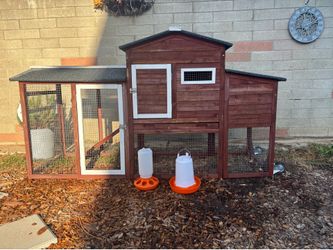 Small chicken coup