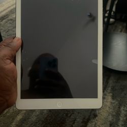 iPad 