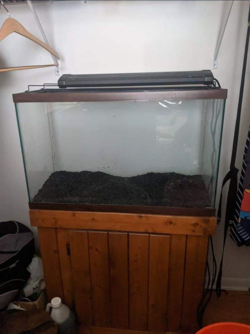 Complete Setup For Planted Aquarium 