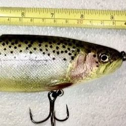 Glide Bait 9 Inch Replica Trout By Sly Guy Custom Baits 