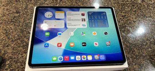 Apple iPad Pro 12.9 inch 256 gb WiFi plus cellular factory unlocked