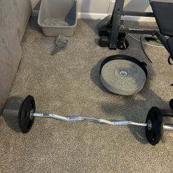 Curl Bar