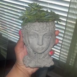 Face Planter With Succulent 