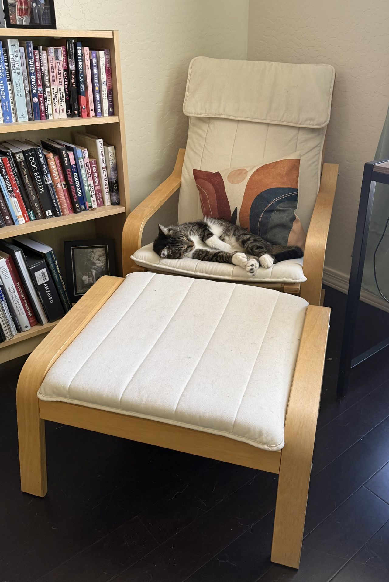 IKEA POANG Series Armchair & Ottoman