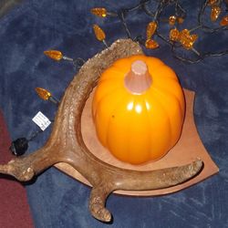 Halloween Decor With Real Antlers 