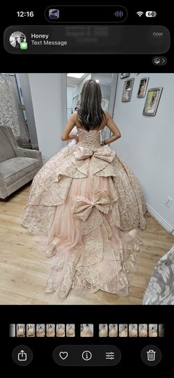 Princesa Quince dress By Ariana Vara