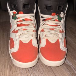 Air Jordan 6 Gatorades