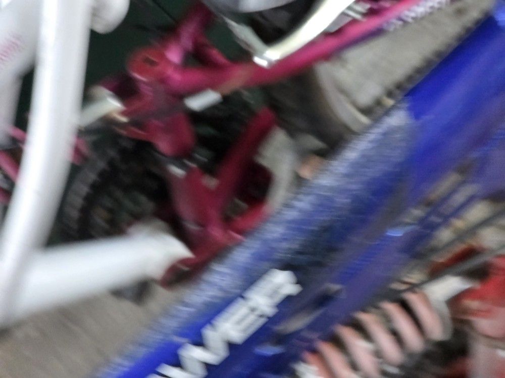 Roadmaster Mountain Bike