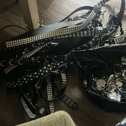 Designer Belt Bundle