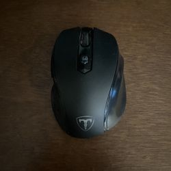 Wireless Computer Mouse