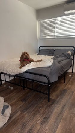Black queen size bed frame - like new