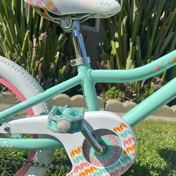 Liv Adore By Giant Seafoam Green, Tire Size 16 X 2.125