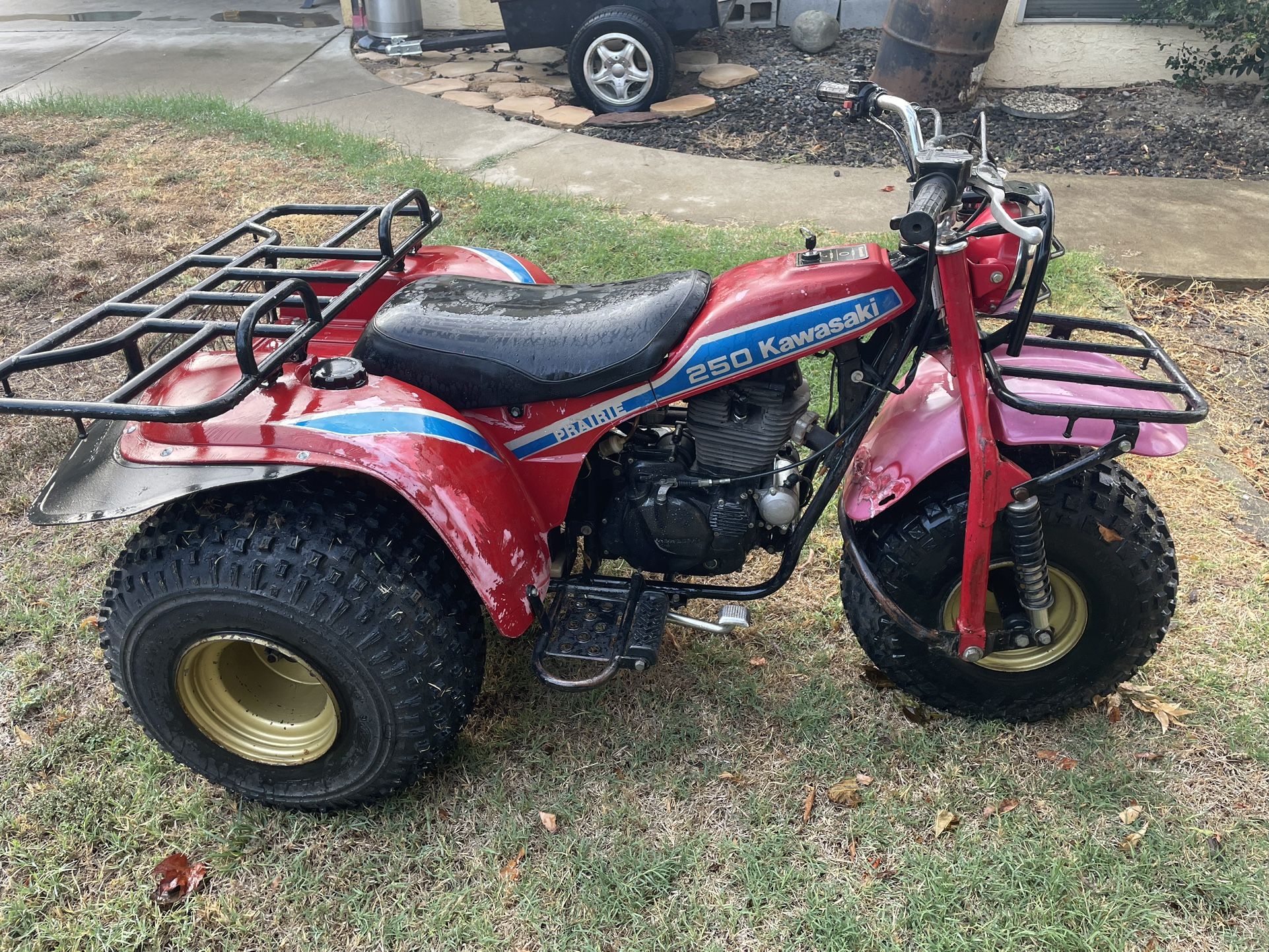 1984 Kawasaki 250