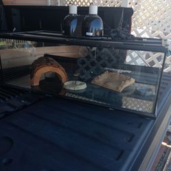 Caja de Cristal para tortuga medianas