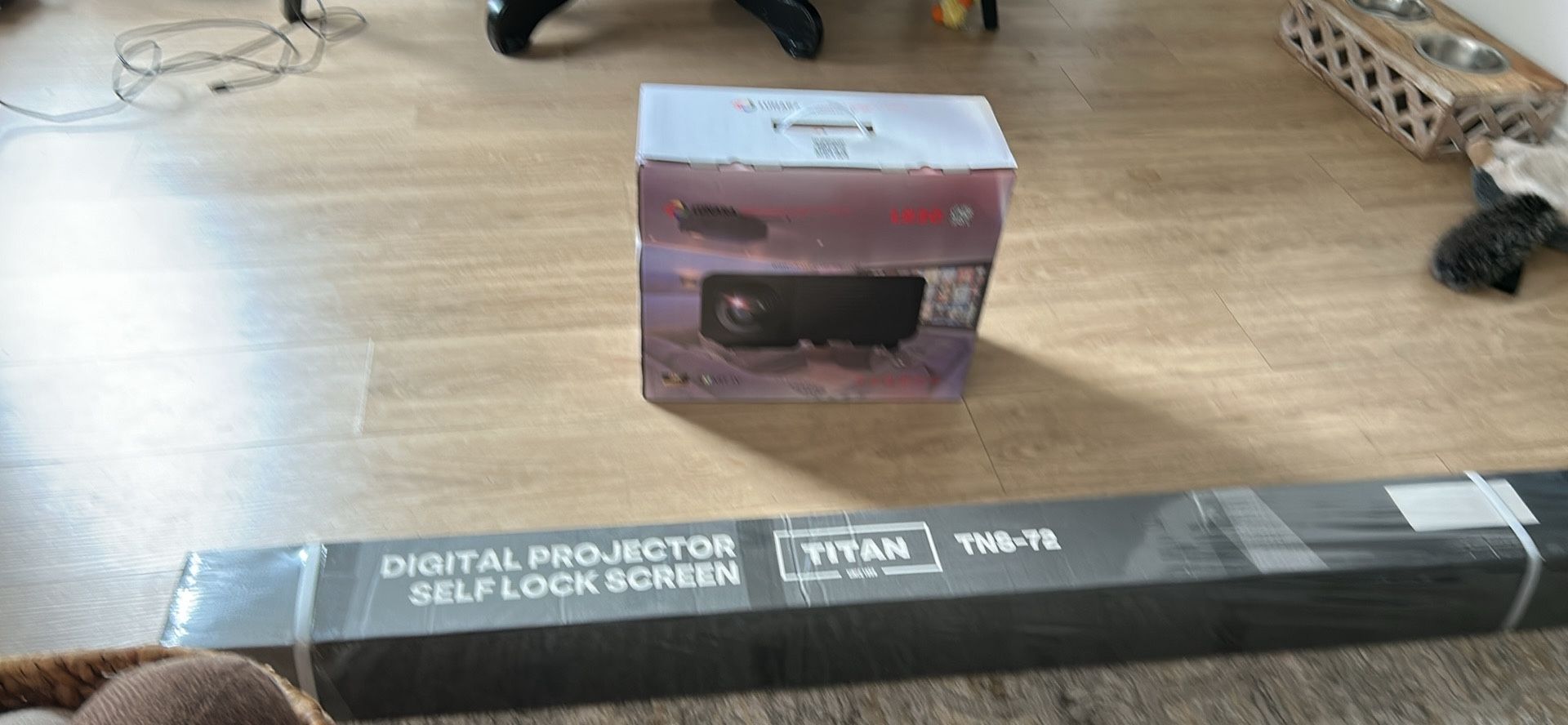 Projector And Screen 