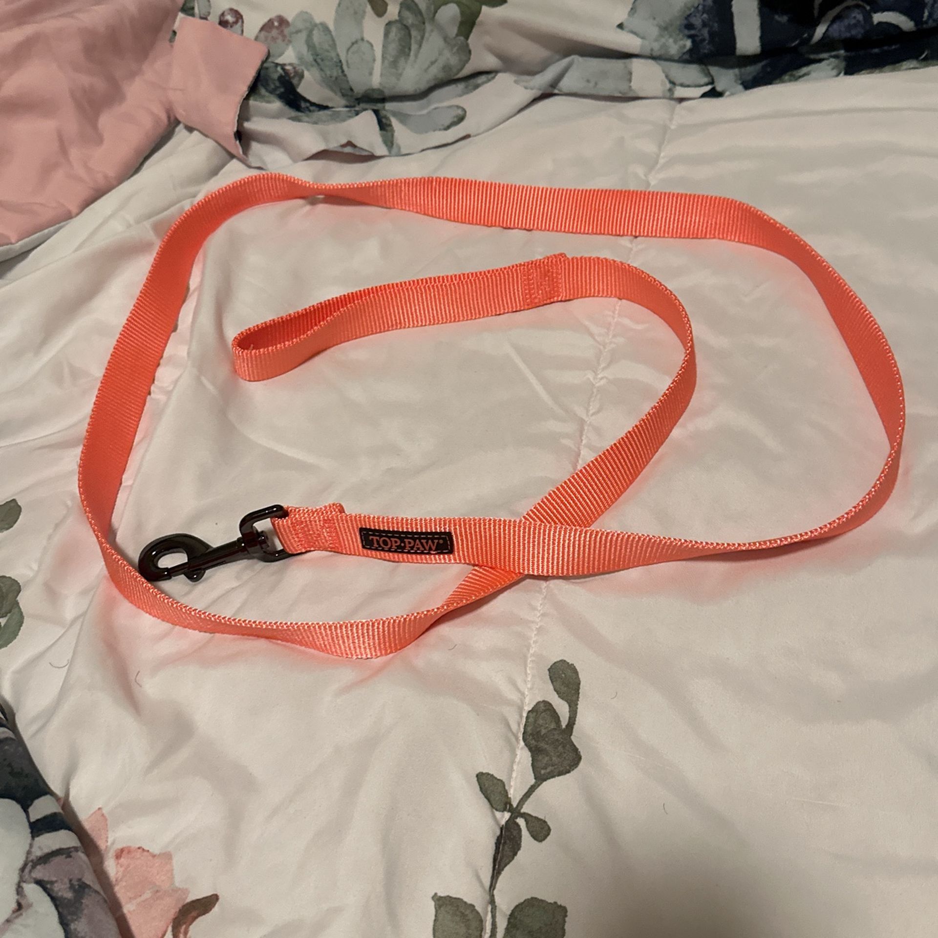 A Dog Leash Brand Top Paw