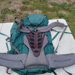 Dog/human Hiking packs 