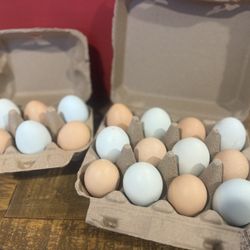 Fresh Eggs 
