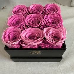 Preserved Rose Forever Flower 🌹 