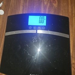 Body Weight Scale