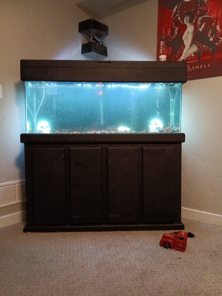 50 Gallon Fish Tank