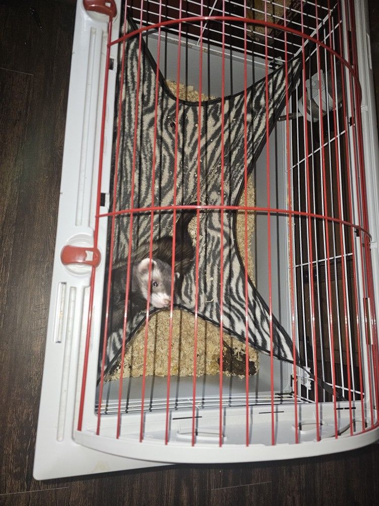 Ferret/Small Animal Cage
