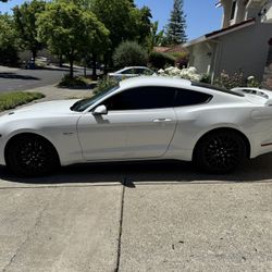 2020 Ford Mustang GT Premium With Fastback Package & Active Exhaust