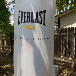 Punching bag with gloves
