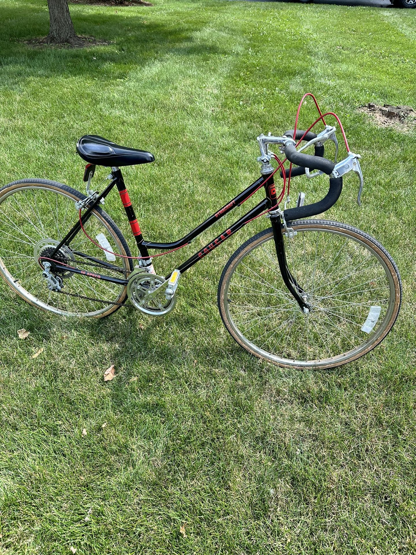 Vintage Dynacraft Cougar 10-speed hybrid road bike
