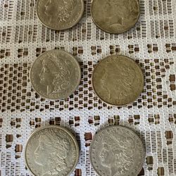 Silver Dollars