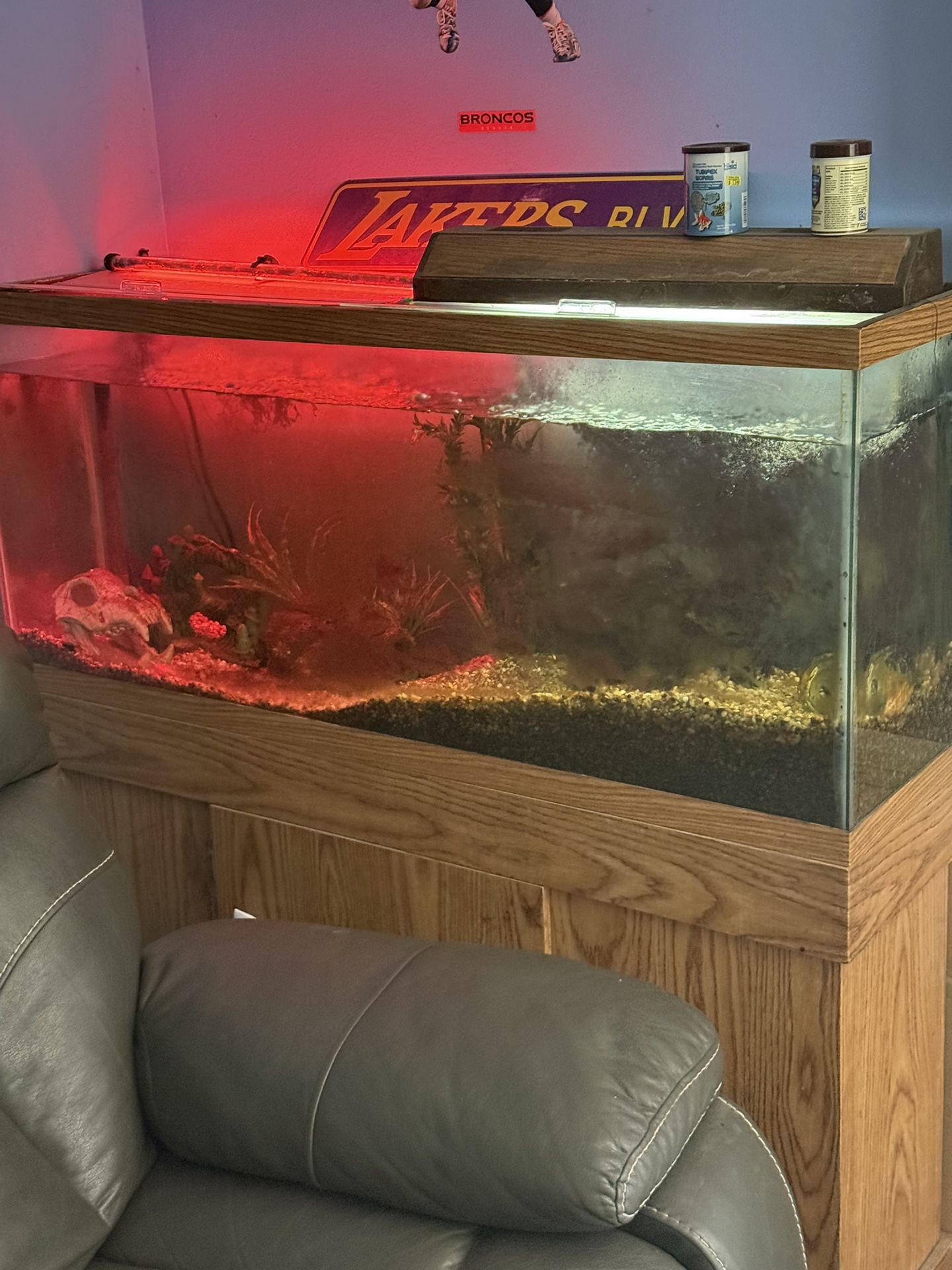 55 Gallon Fishtank