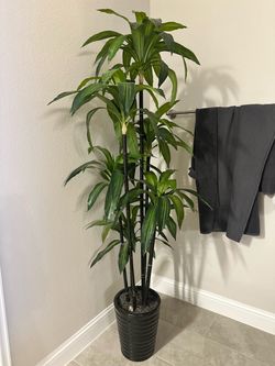 Artificial Plants with pods
