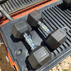 25lb rubber hex dumbbells