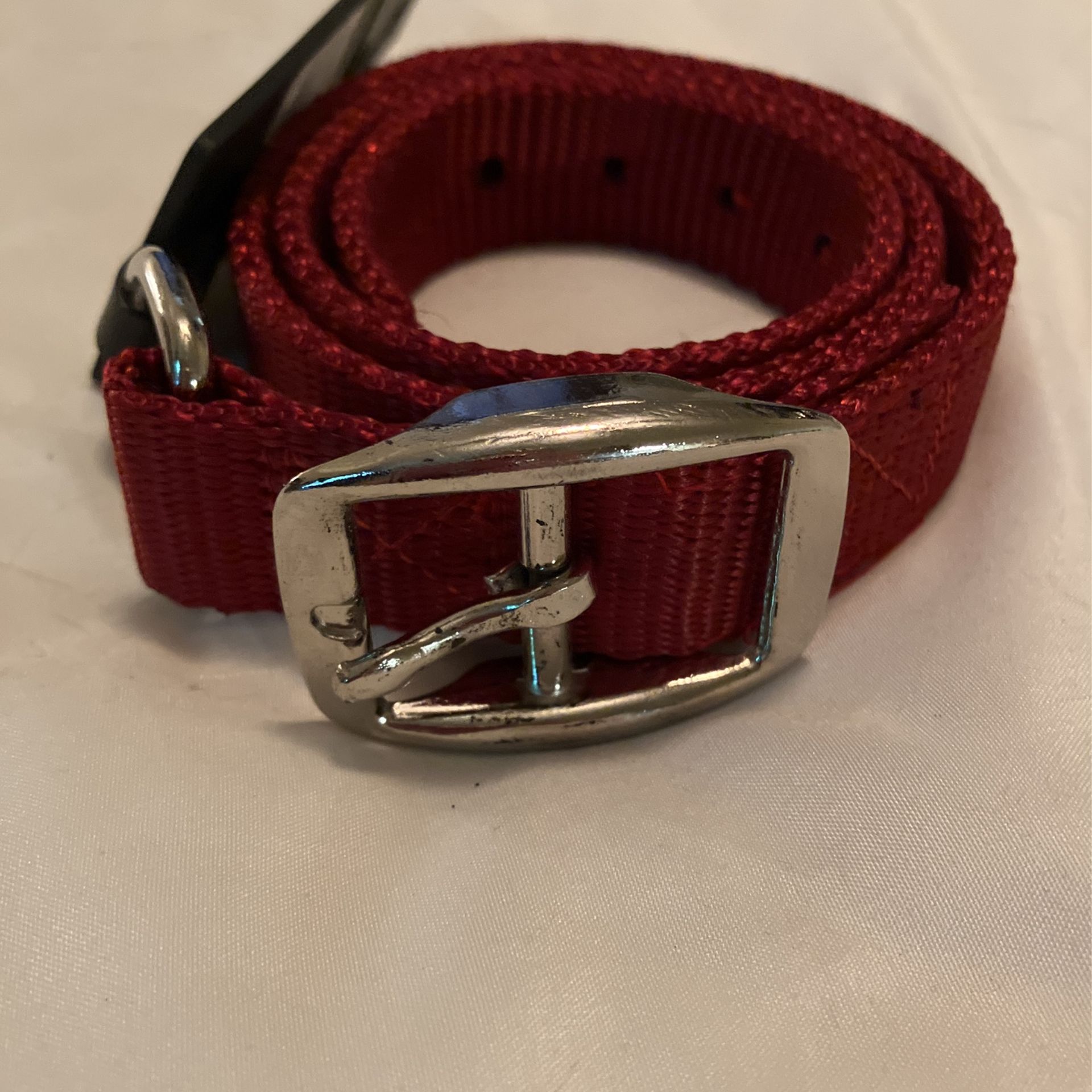 Extra Large Dog Collar
