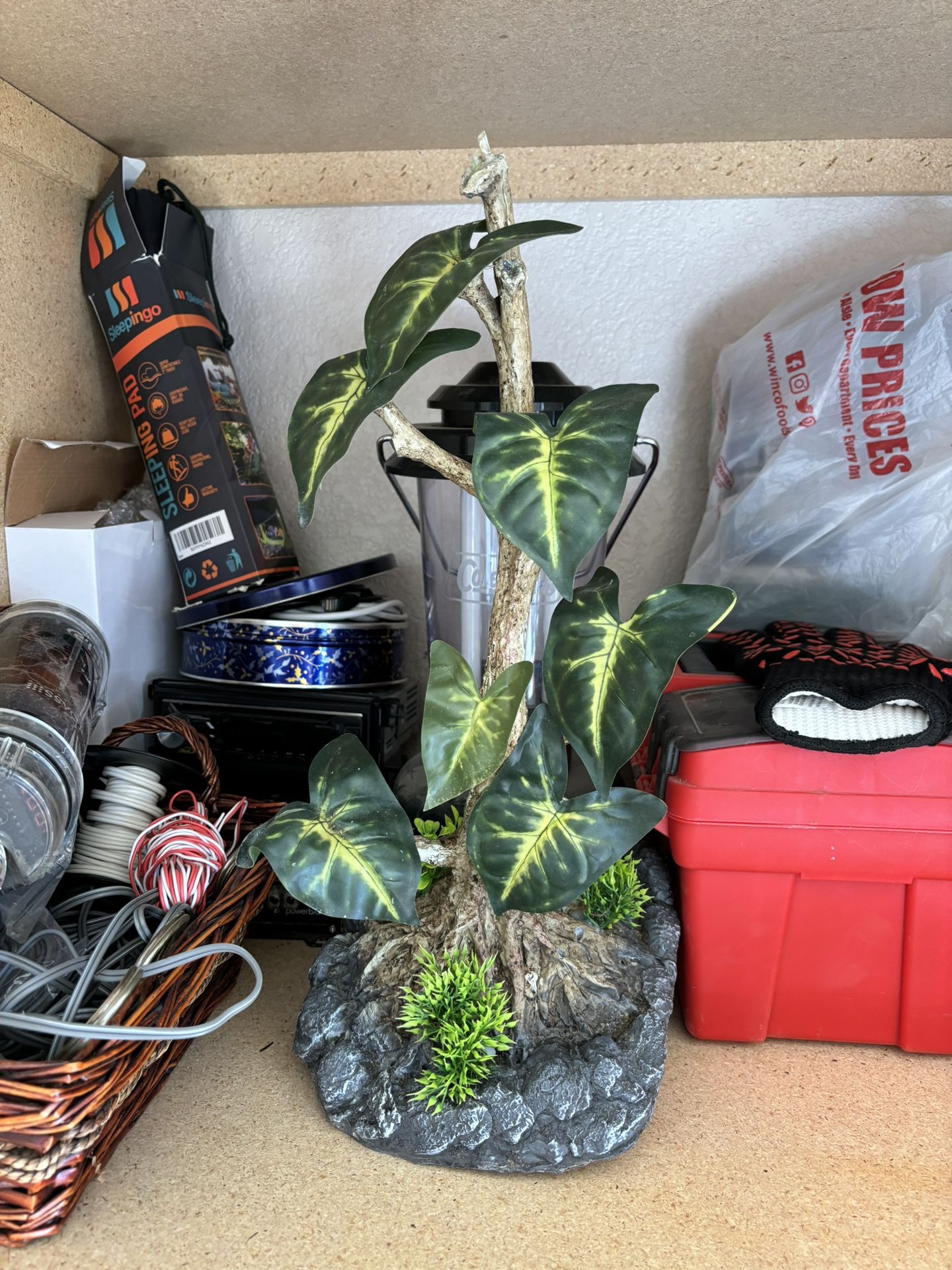 Reptile terrarium for Sale in Chandler, AZ - OfferUp