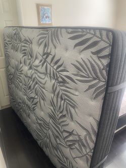 Queen Mattress Sealy Posturepedic Plus