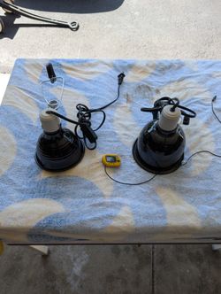 Heat Lamps And Thermostat