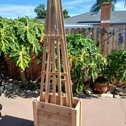 Summer Raise Garden Boxes