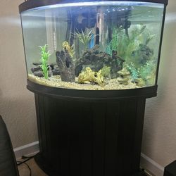 Bow Front / Curved glass 68 Gallon Aquarium ( FISH TANK)