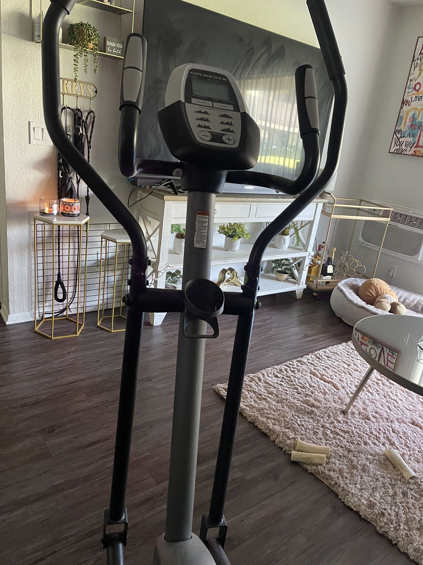 Exercise Bike 125$ OBO