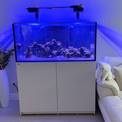 REDSEA 450