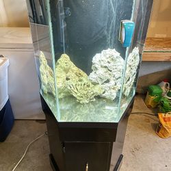 30 Gallon Hexagon Aquarium Fish Tank