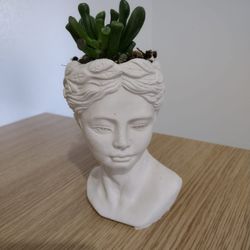 planter
